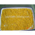 Top quality fresh Canned Sweet Corn